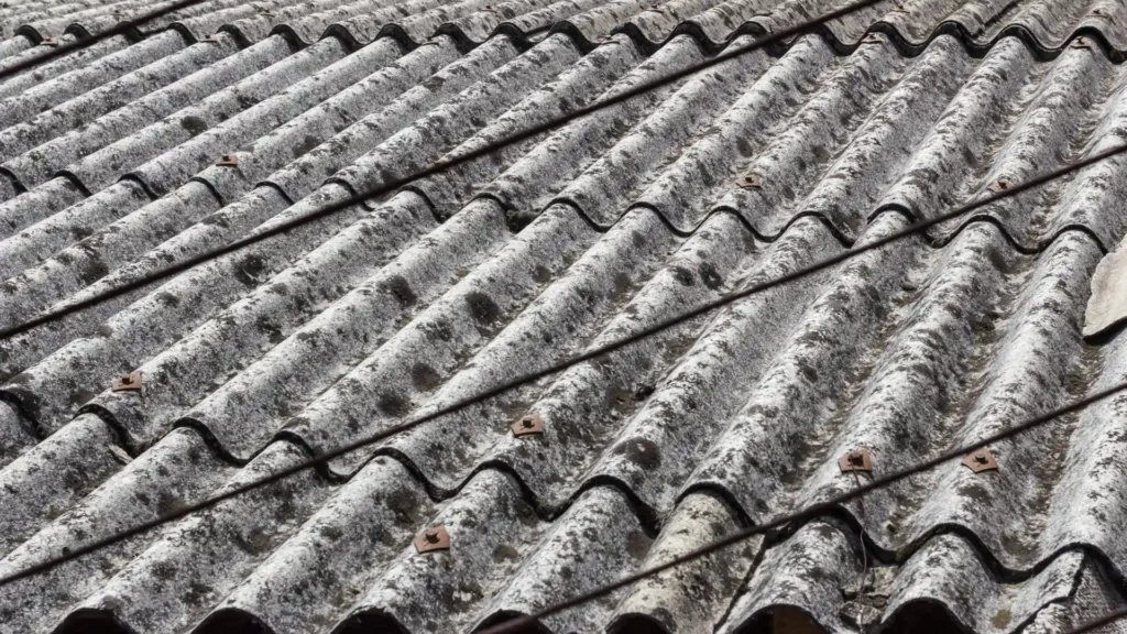 ABX albany removal-41-asbestos roof removal 4